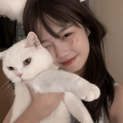 屠龙归来手游下载
